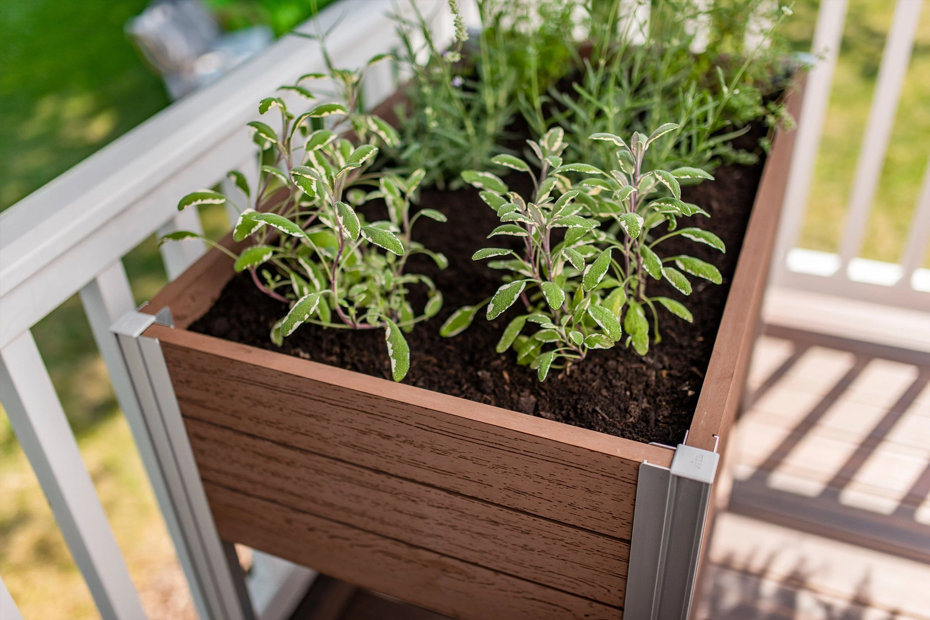 URBANA 22x35 Herb Farm - Image 5