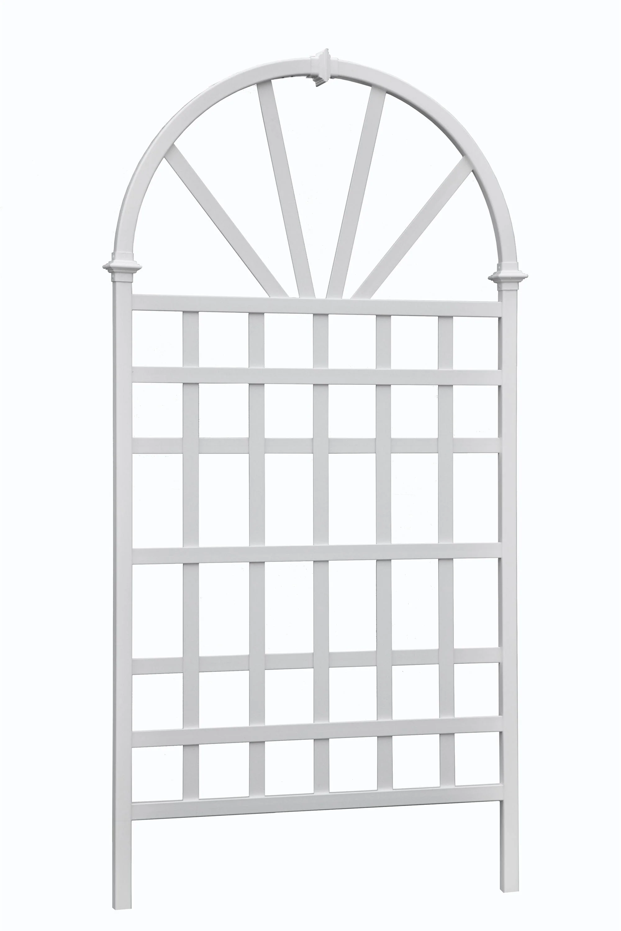 Athens Trellis - Image 3