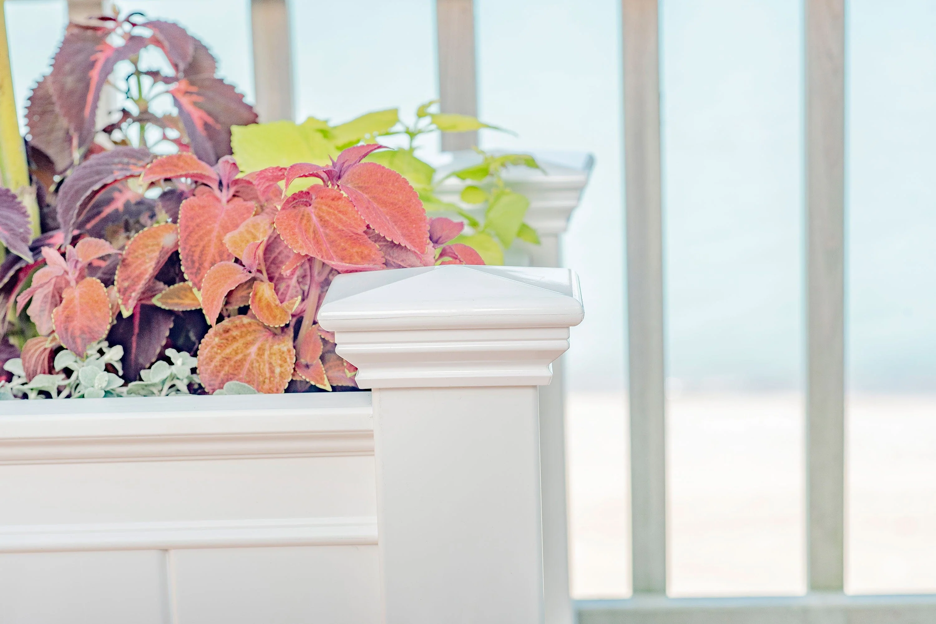 CLASSIC Barcelona Planter Box - Image 7
