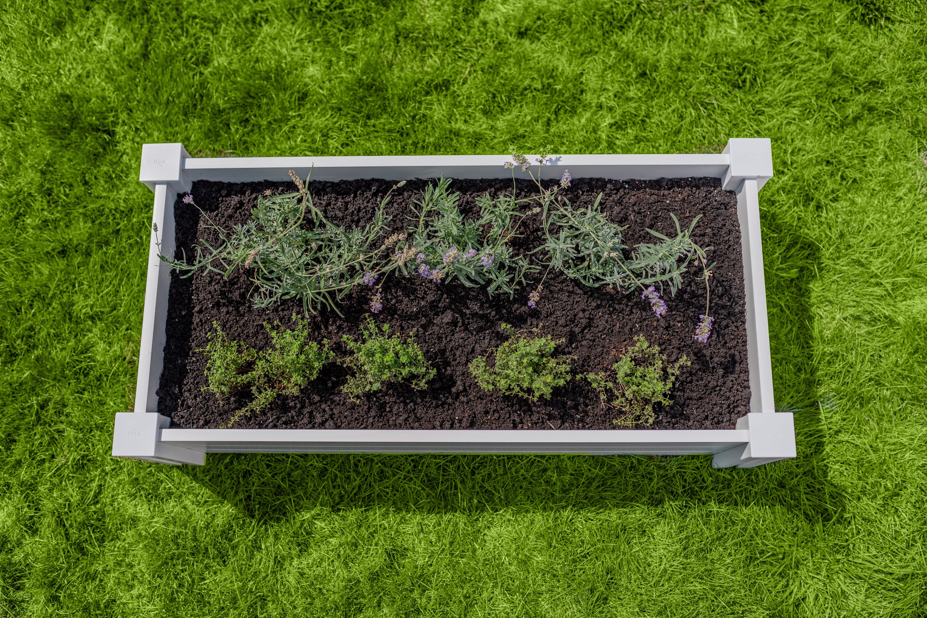 CLASSIC 2x4x11 Garden Bed - Image 5