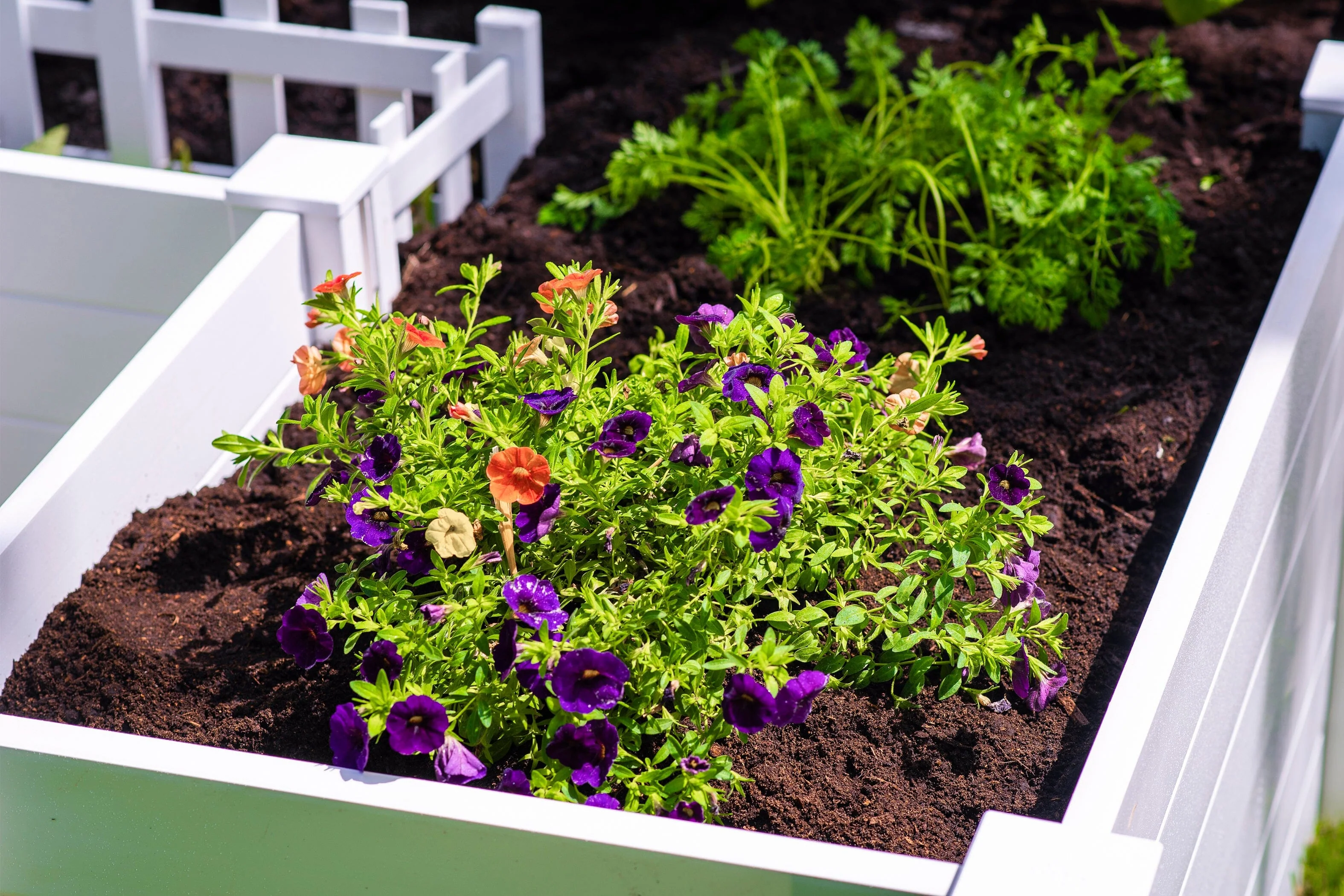 CLASSIC 6x6 Keyhole Composting Garden - Image 7