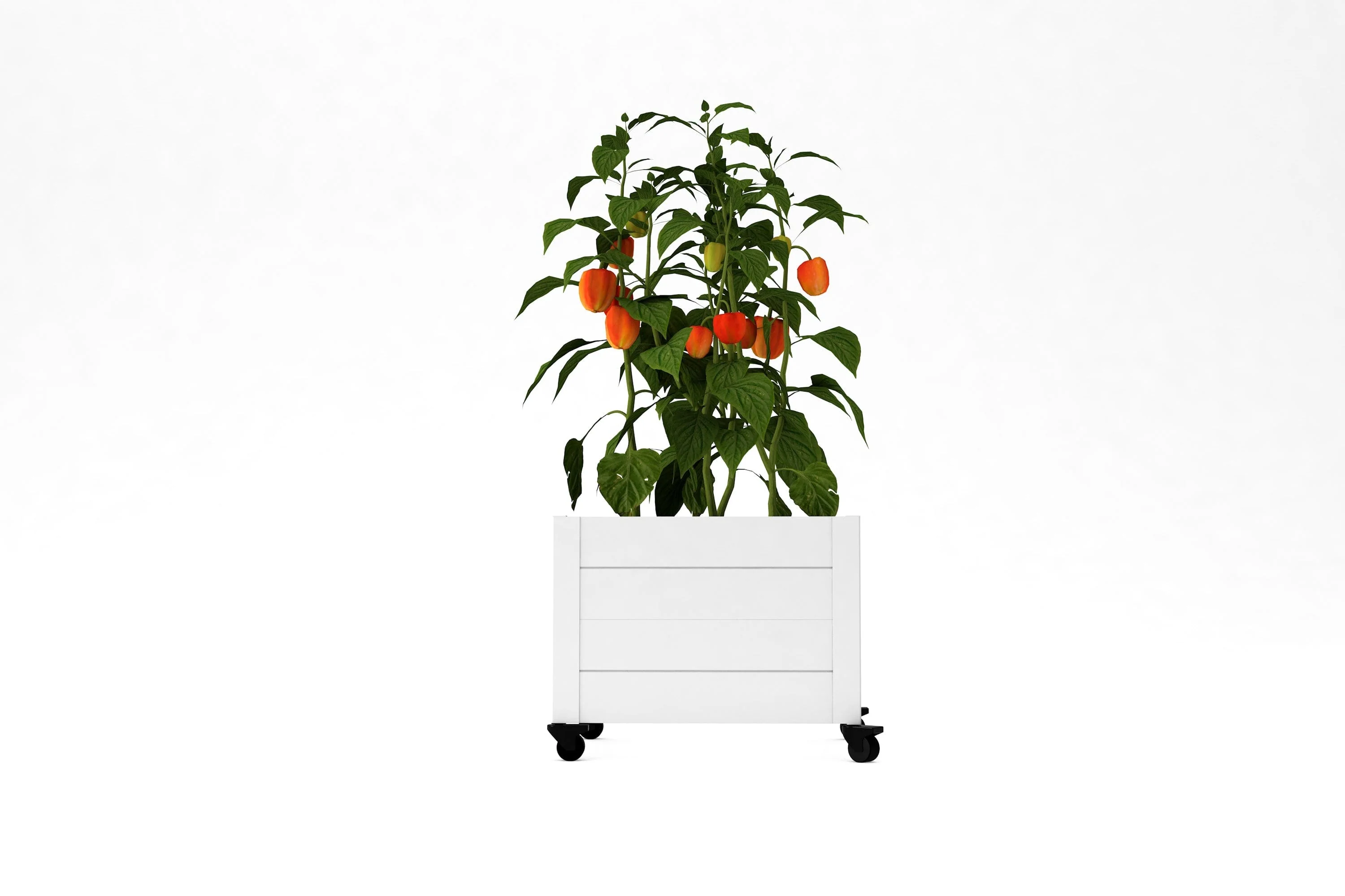 CLASSIC Rolling Planter - Image 11