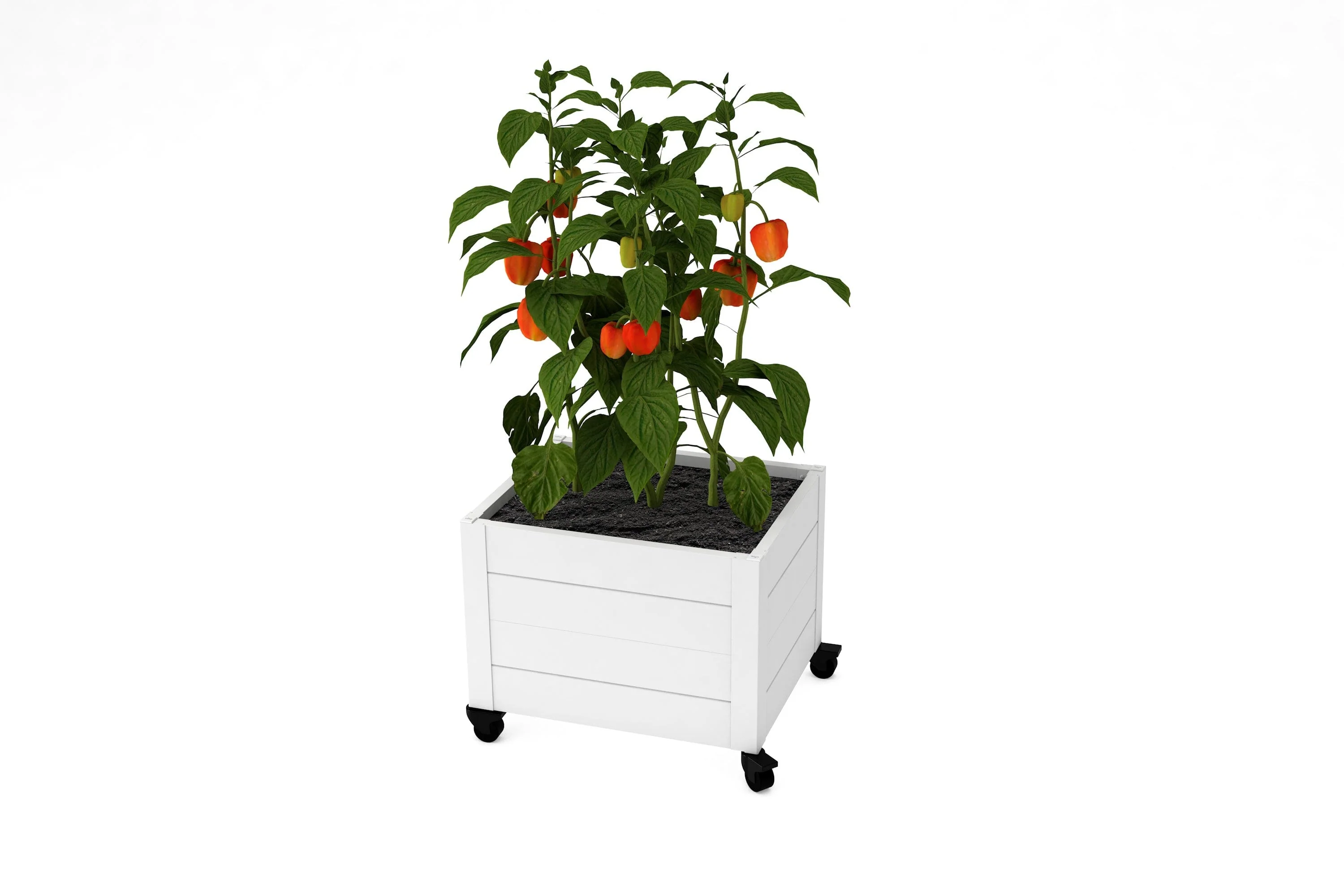 CLASSIC Rolling Planter - Image 12