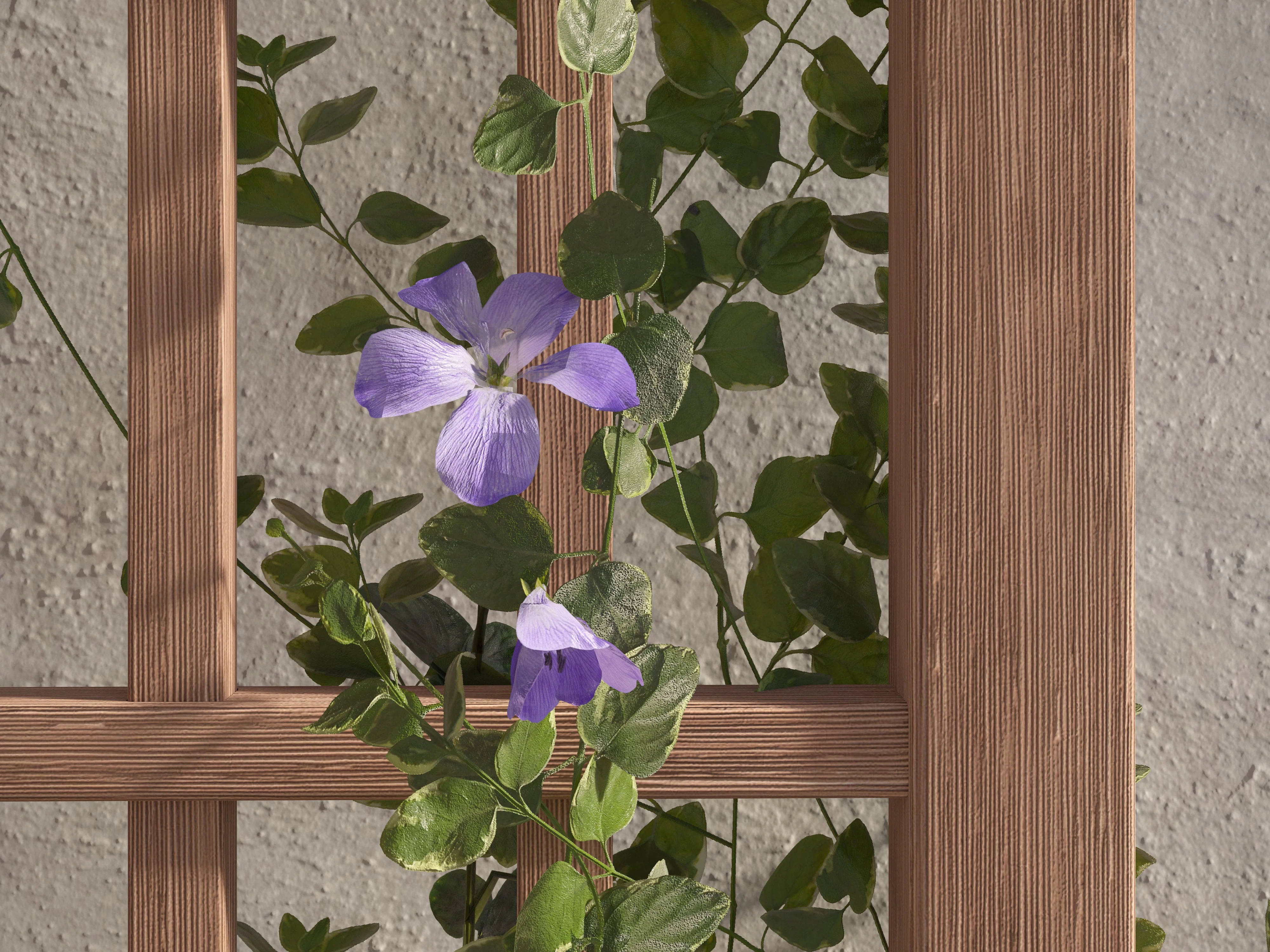 Concord Trellis - Image 3
