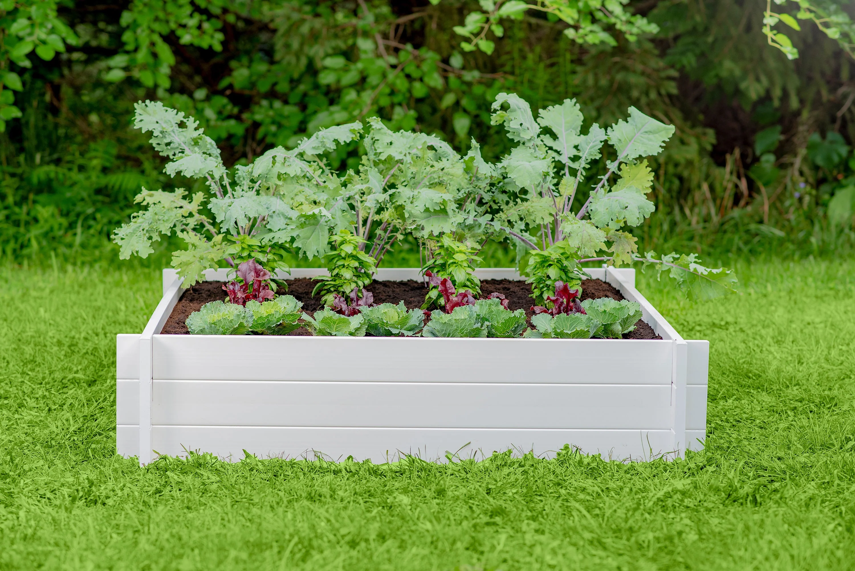 CLASSIC Hudson 4x4 Garden Bed - Image 4