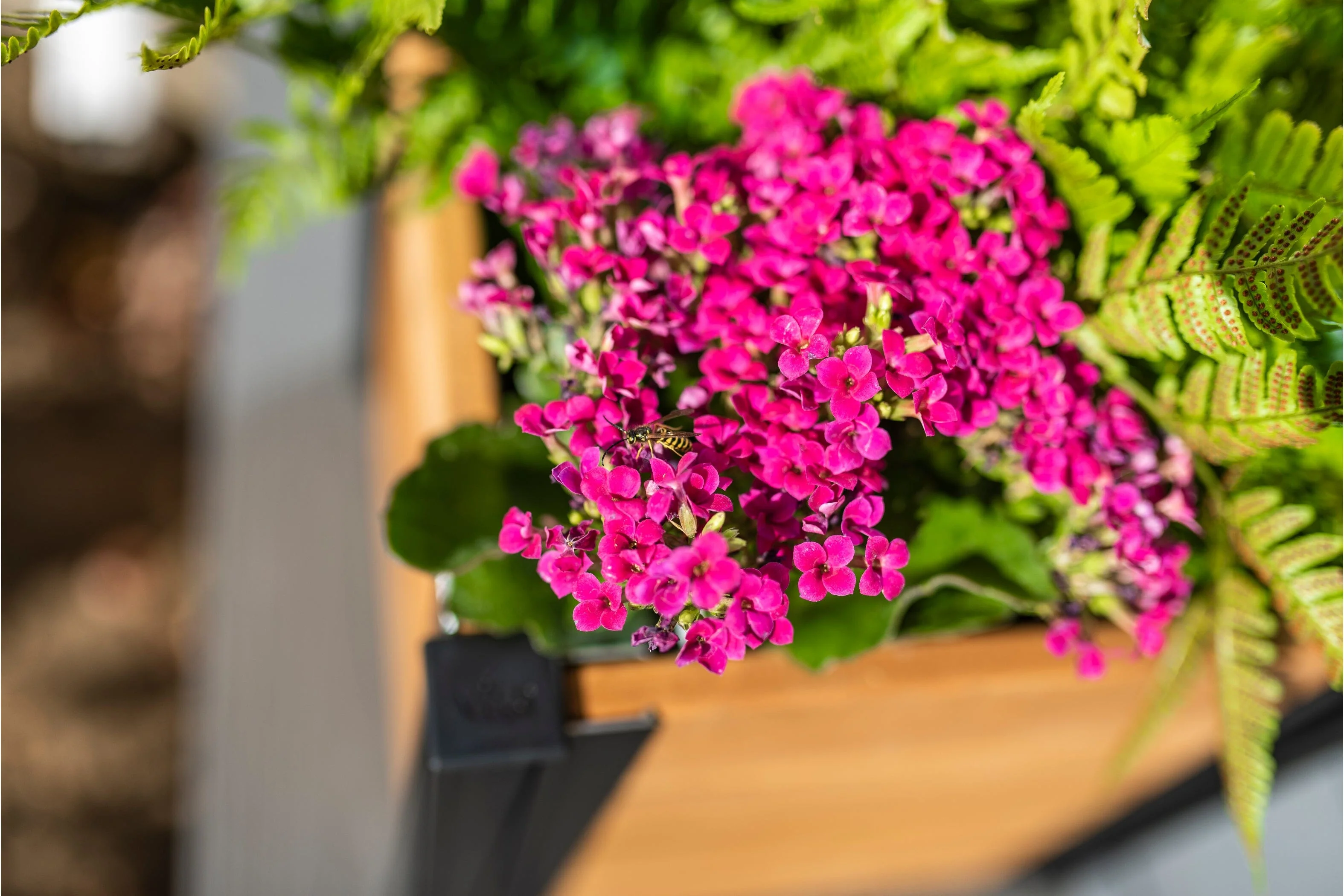 MEZZA 12” Cube Planter - Image 6