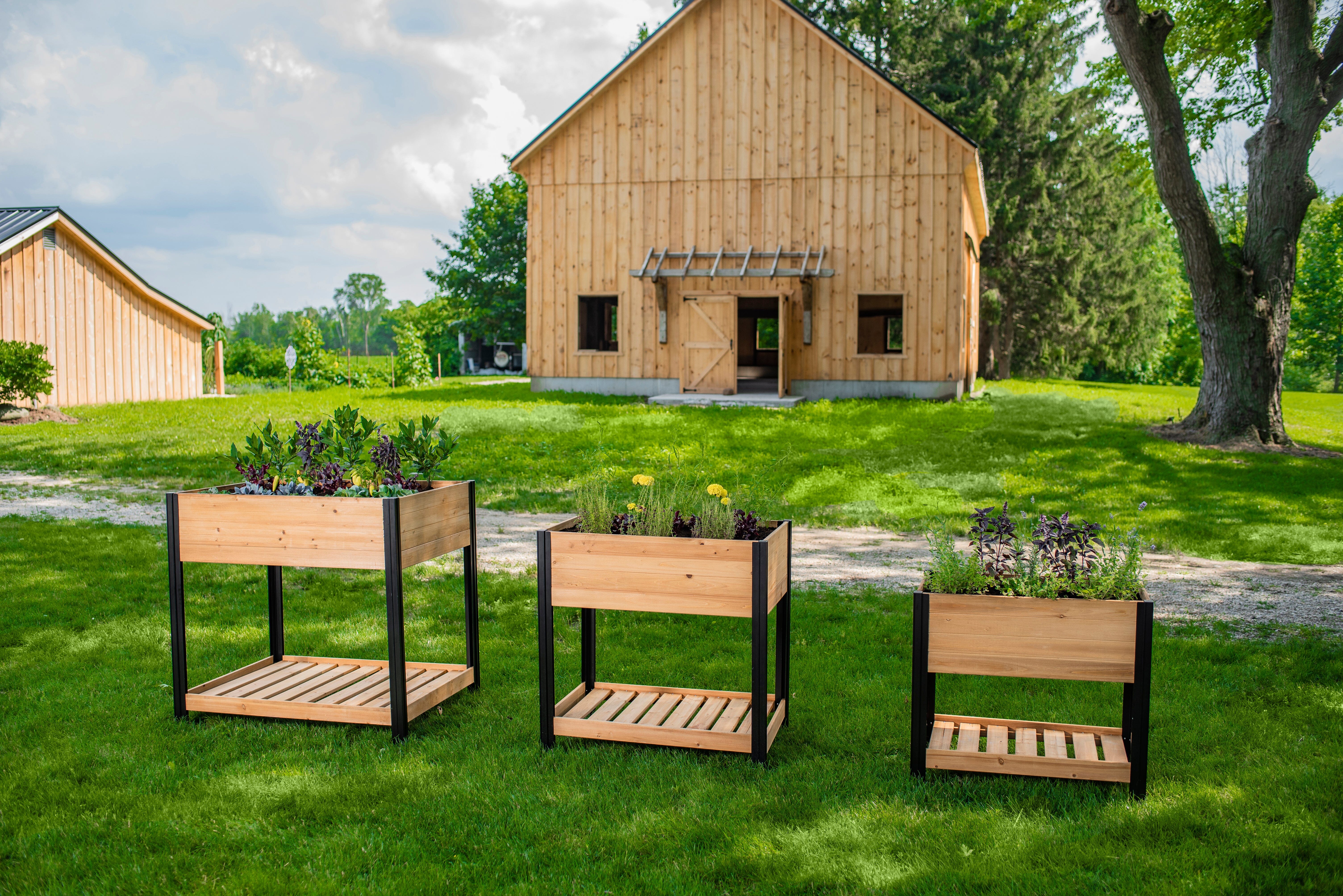 MEZZA 18x32 Sprout Farm - Image 9