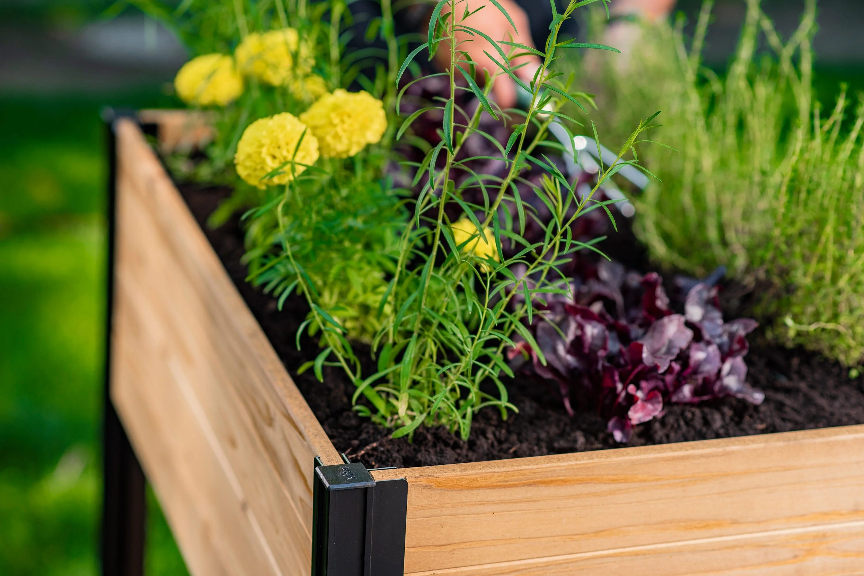 MEZZA 22x35 Herb Farm - Image 13
