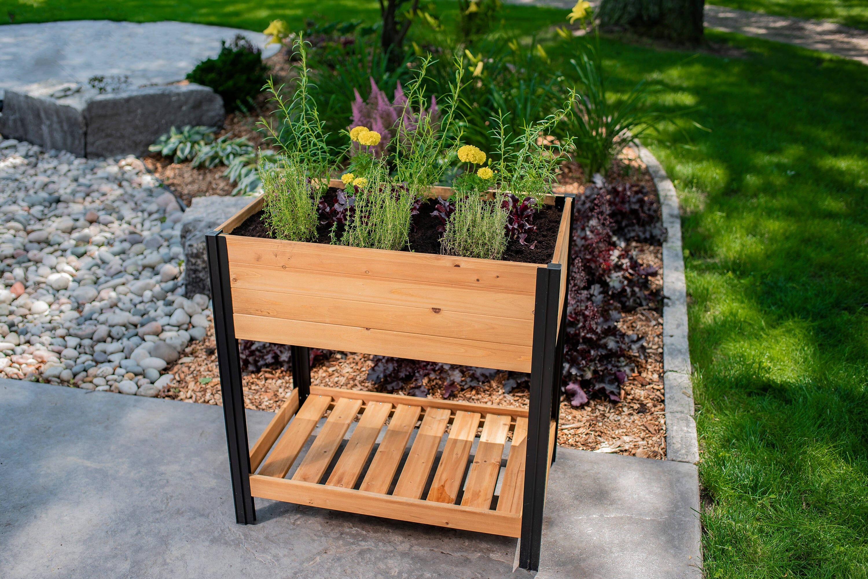 MEZZA 22x35 Herb Farm - Image 4