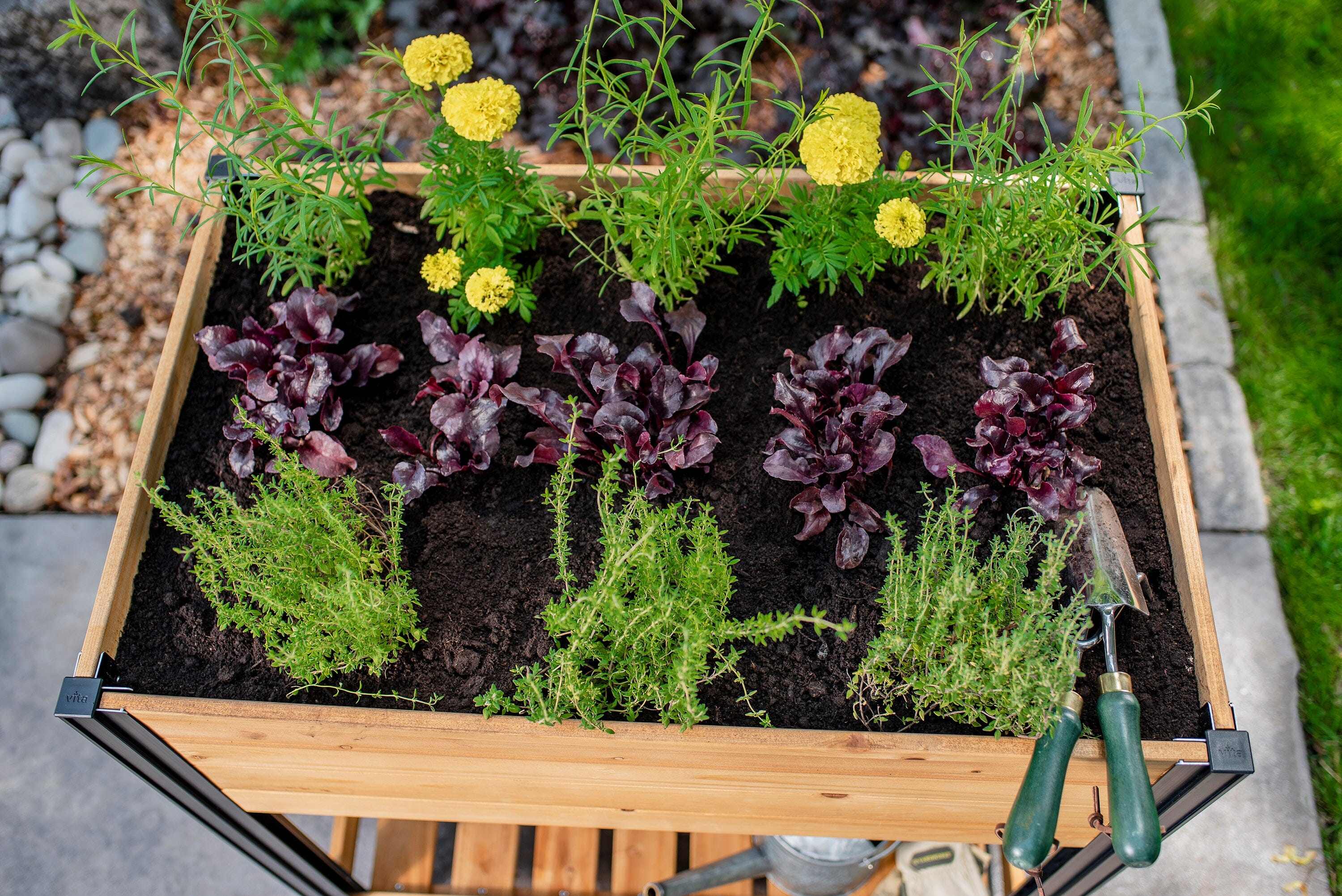 MEZZA 22x35 Herb Farm - Image 6