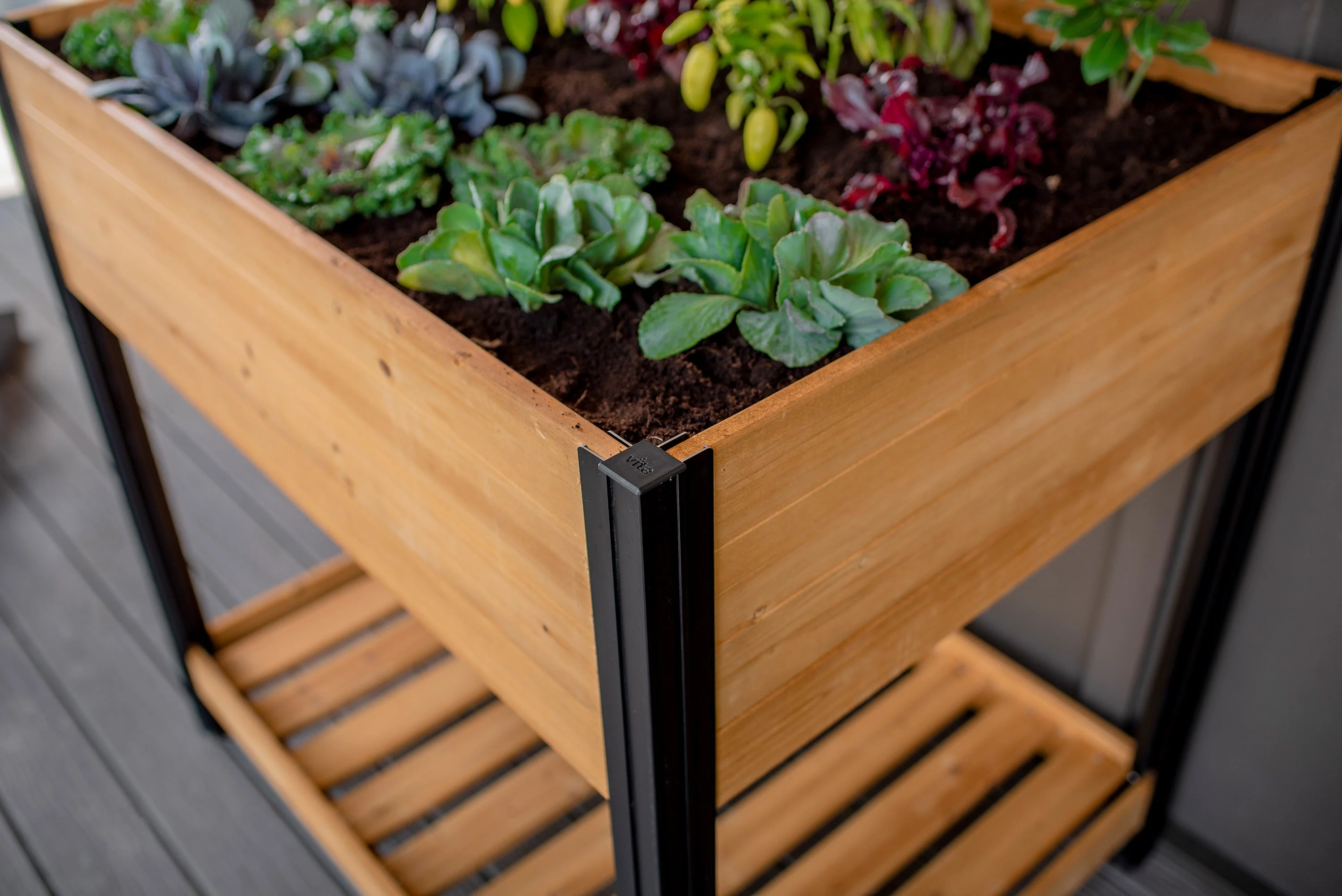 MEZZA 30x40 Veg Farm - Image 5