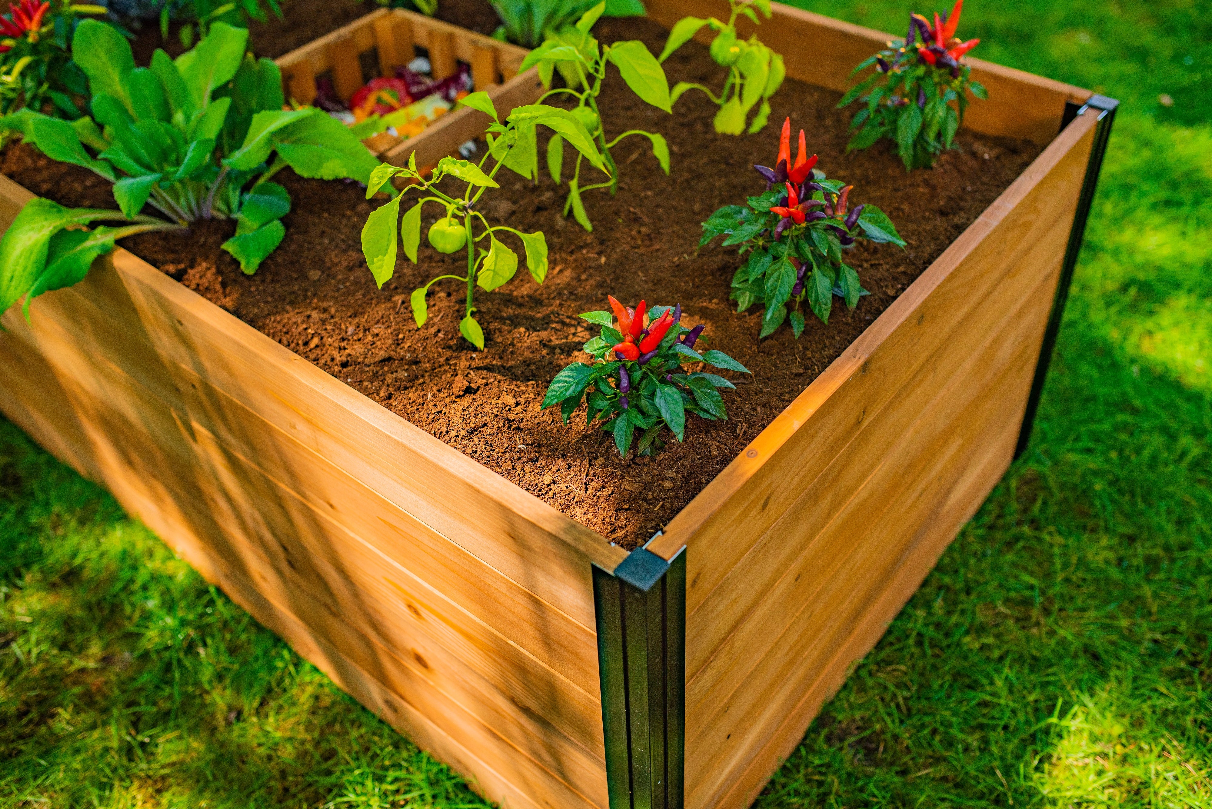 MEZZA 3x5 Keyhole Composting Garden - Image 3