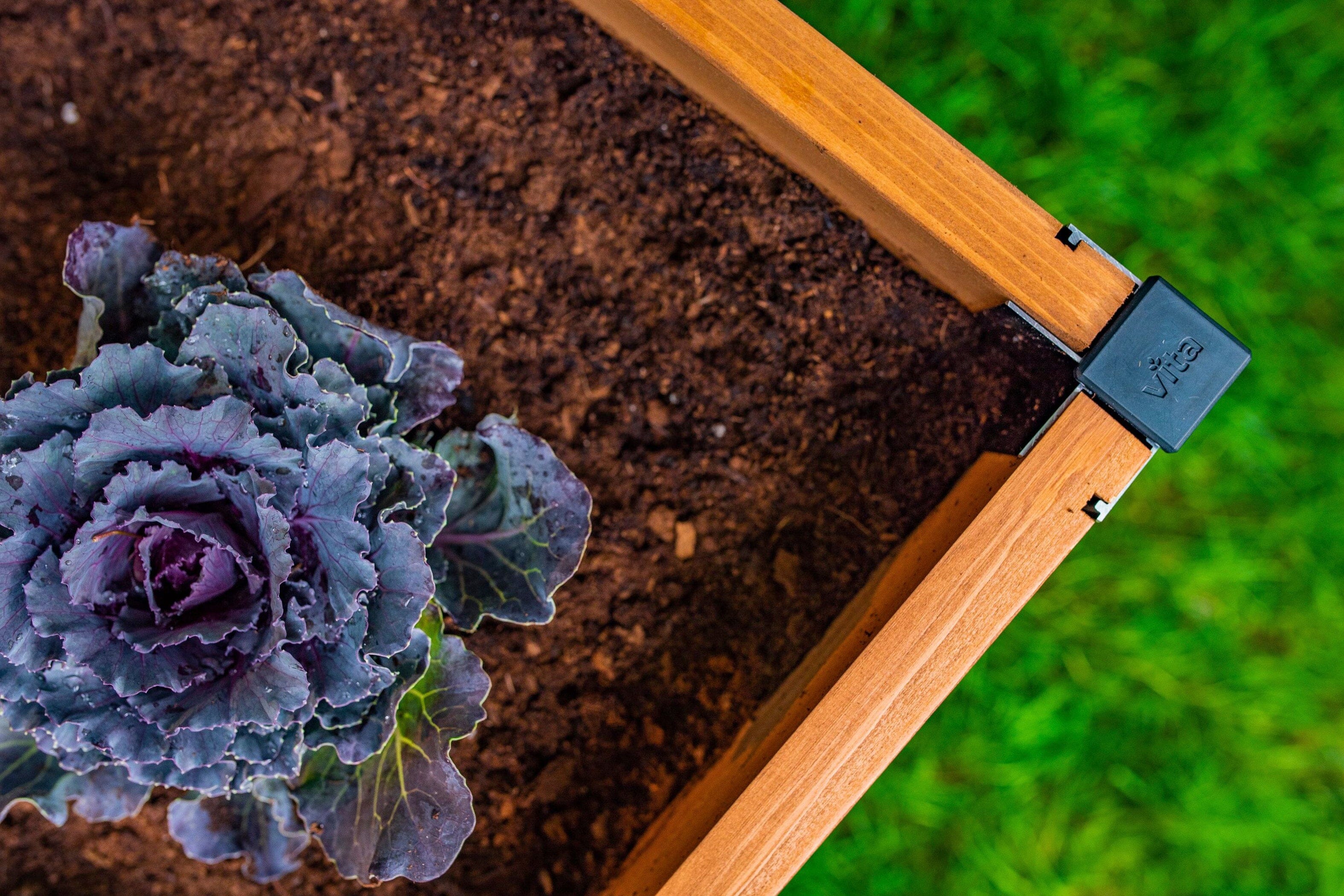 MEZZA 4x4x11 Garden Bed - Image 3