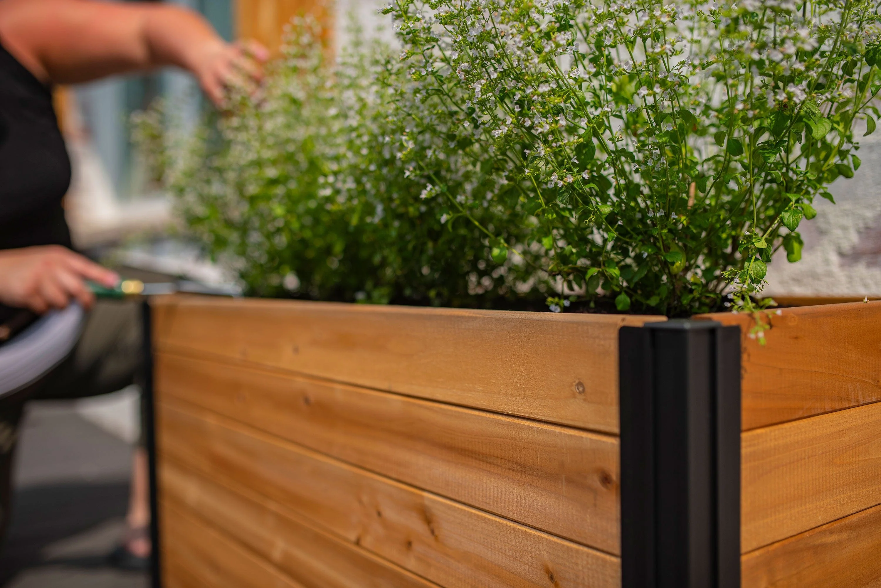 MEZZA Small Parklette Planter - Image 9