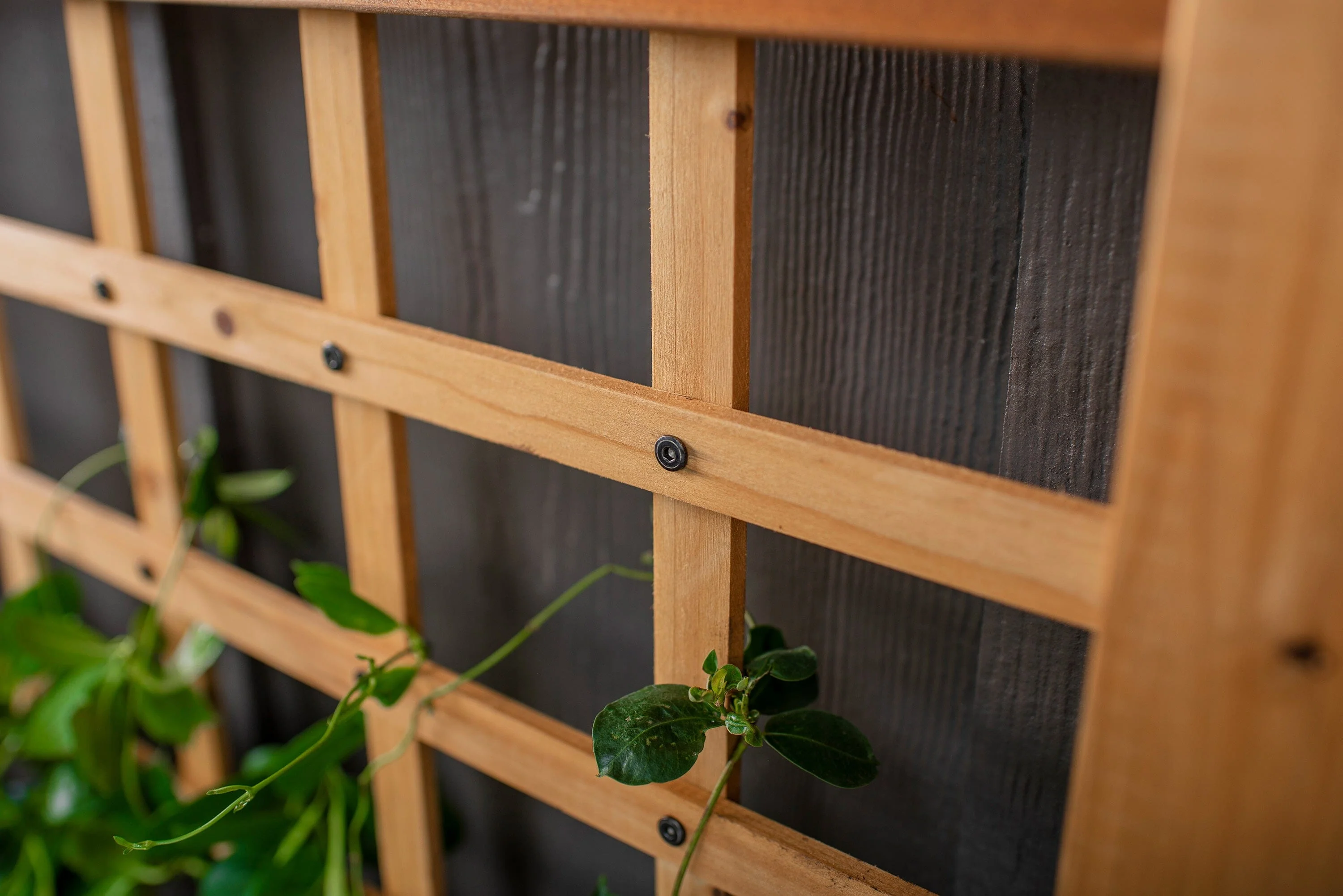 Rosewood Planter with Trellis - Image 8