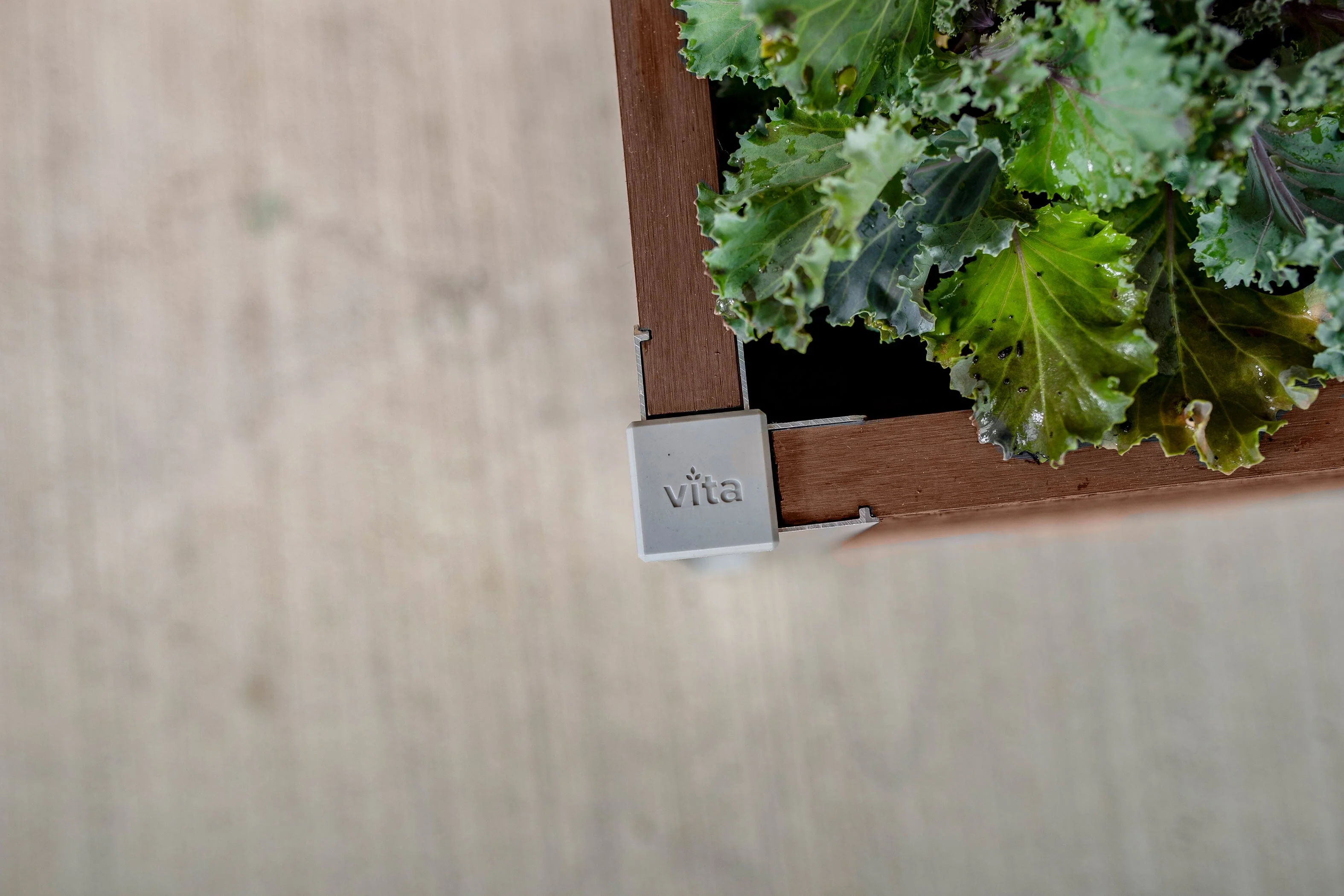 URBANA 12" x 24" Planter, 2 Pack - Image 4