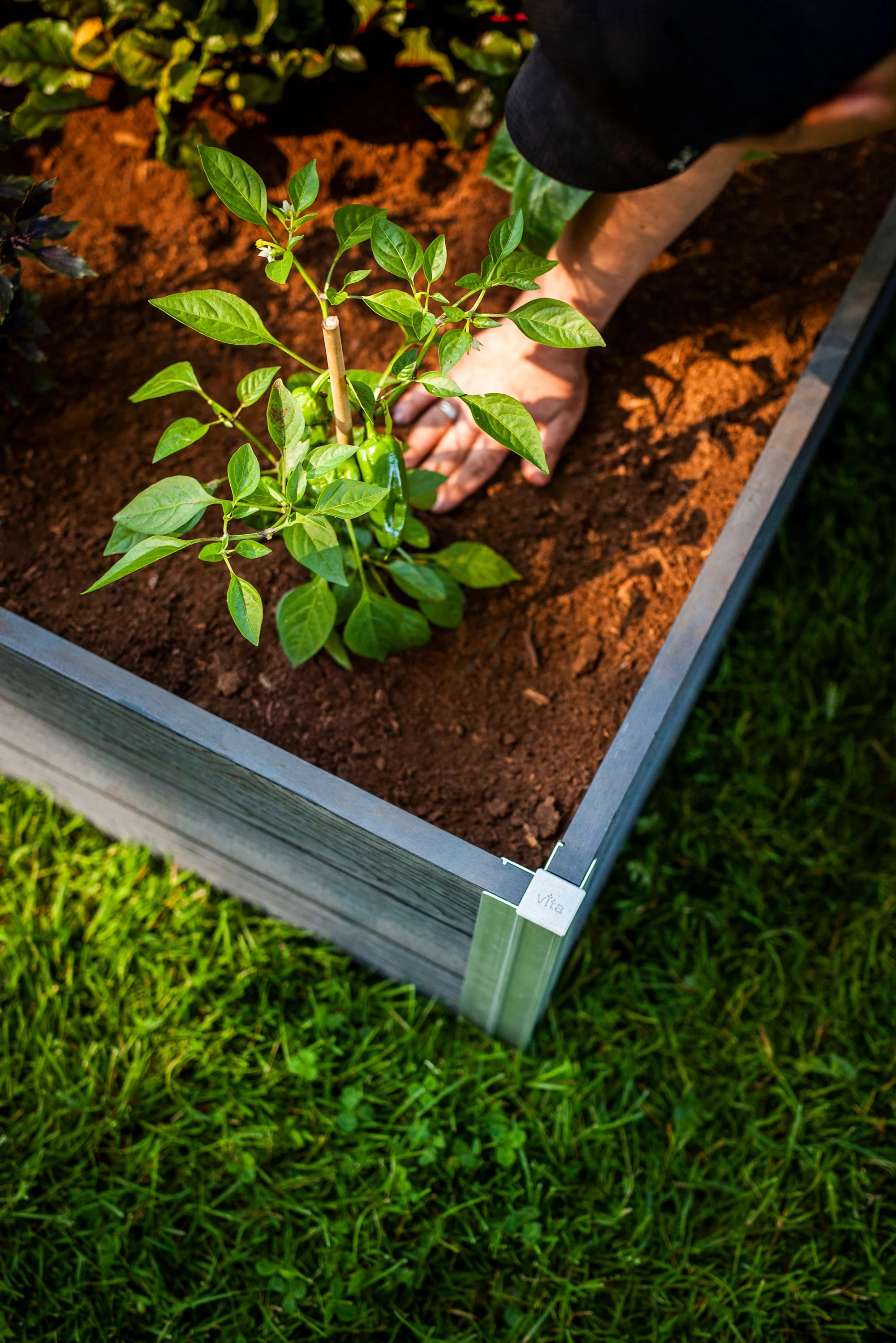 URBANA 4x4x11 Garden Bed - Image 4