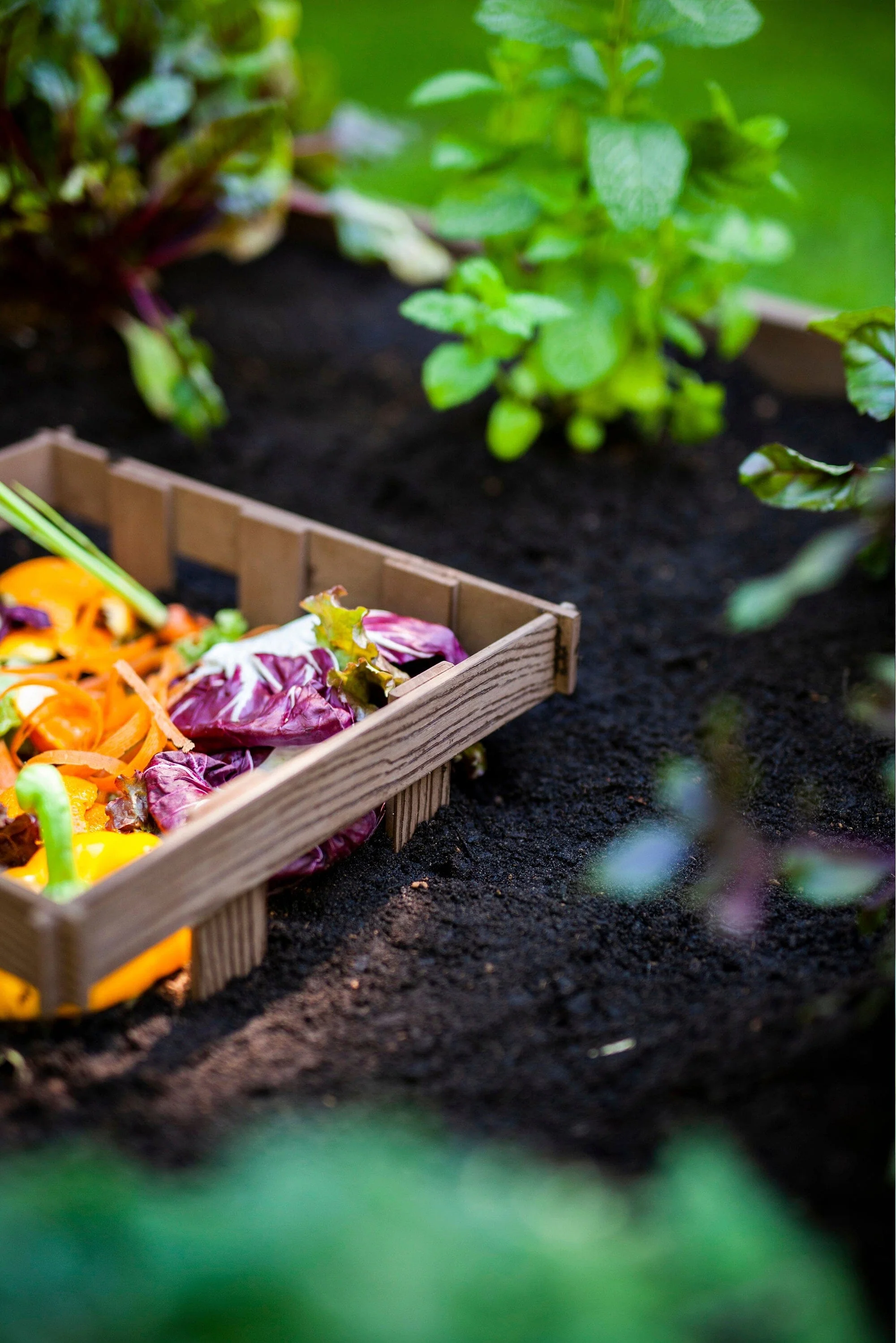 URBANA 4x4 Keyhole Composting Garden - Image 14