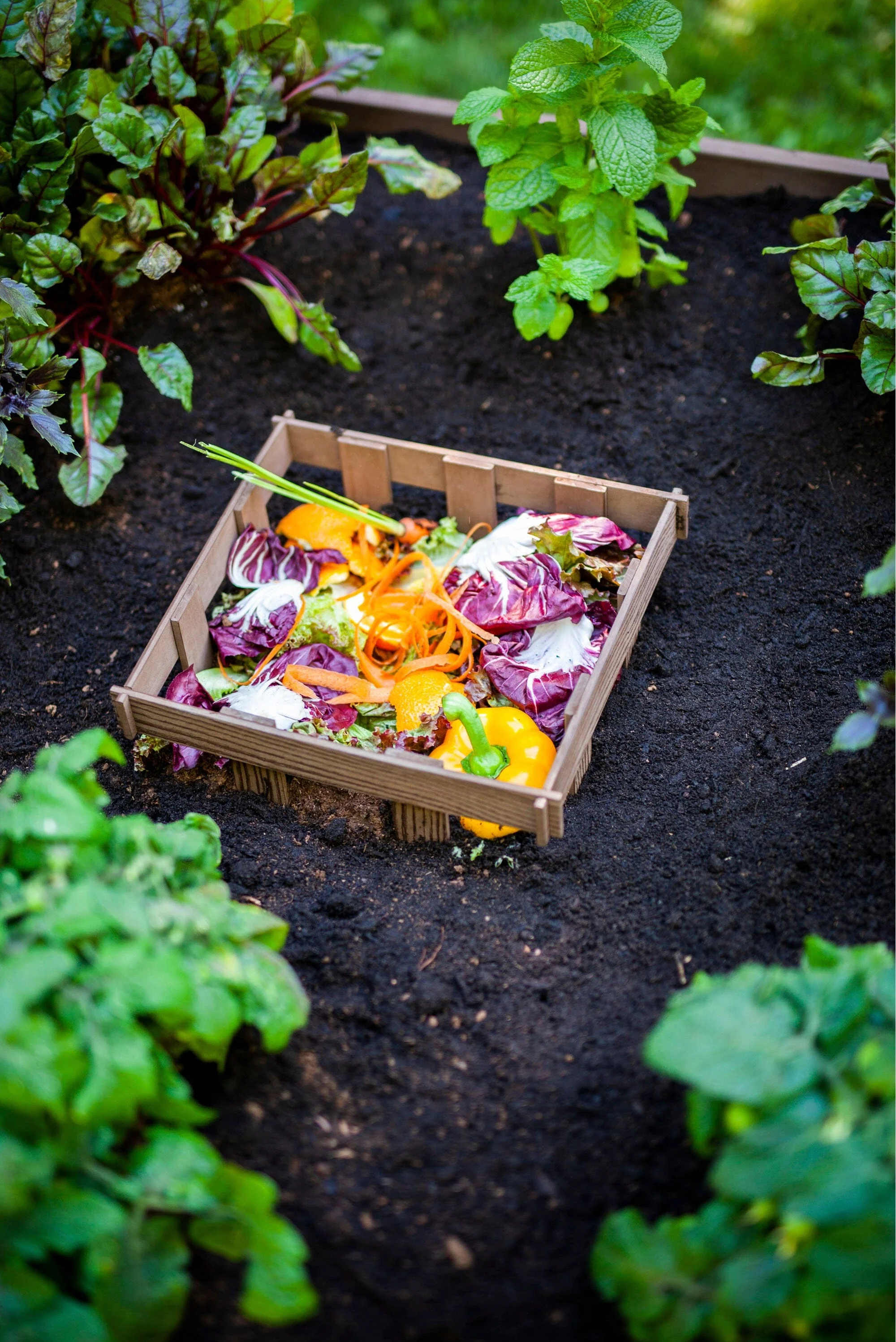URBANA 4x4 Keyhole Composting Garden - Image 16