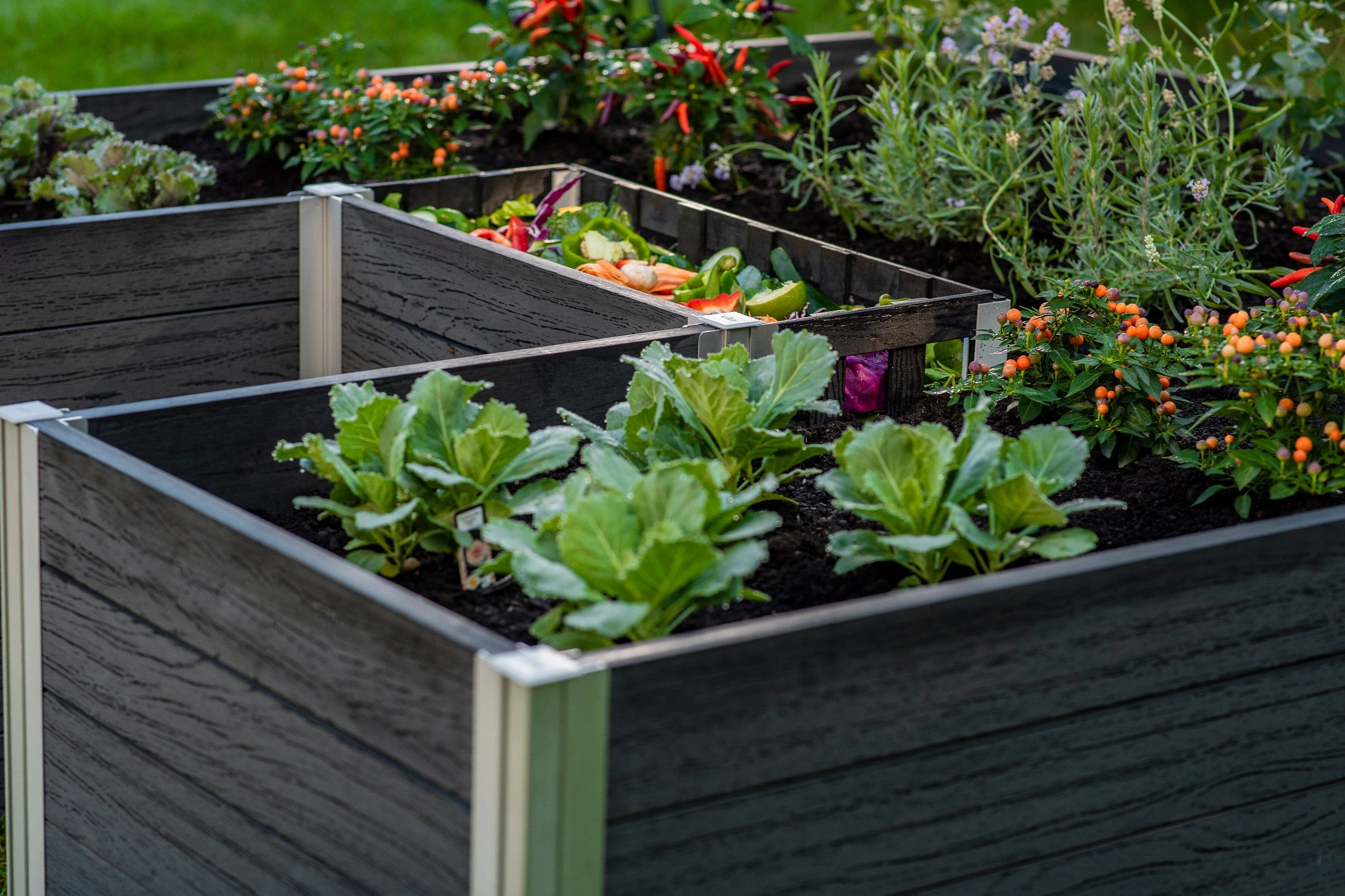 URBANA 6x6 Keyhole Composting Garden - Image 13