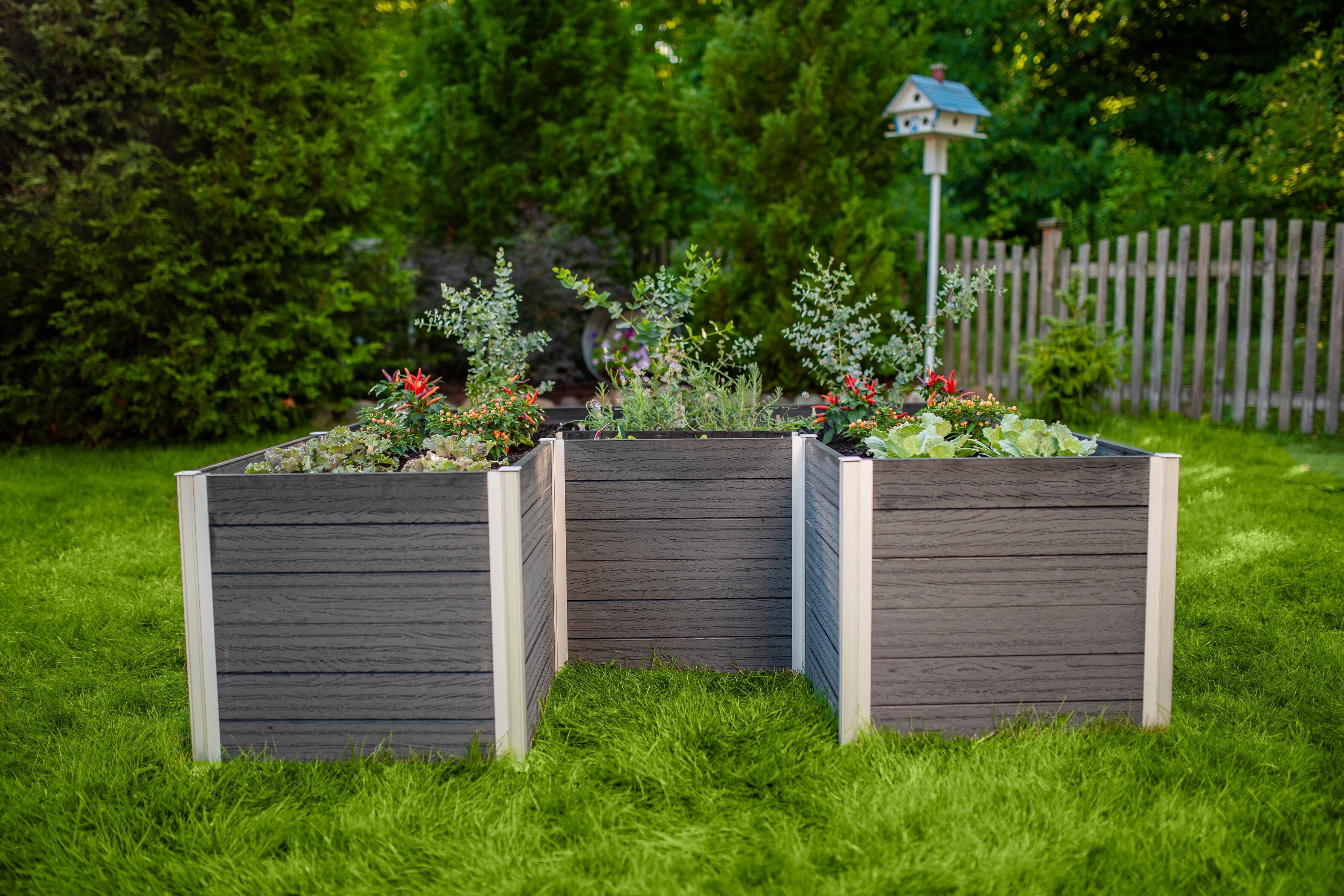 URBANA 6x6 Keyhole Composting Garden - Image 15