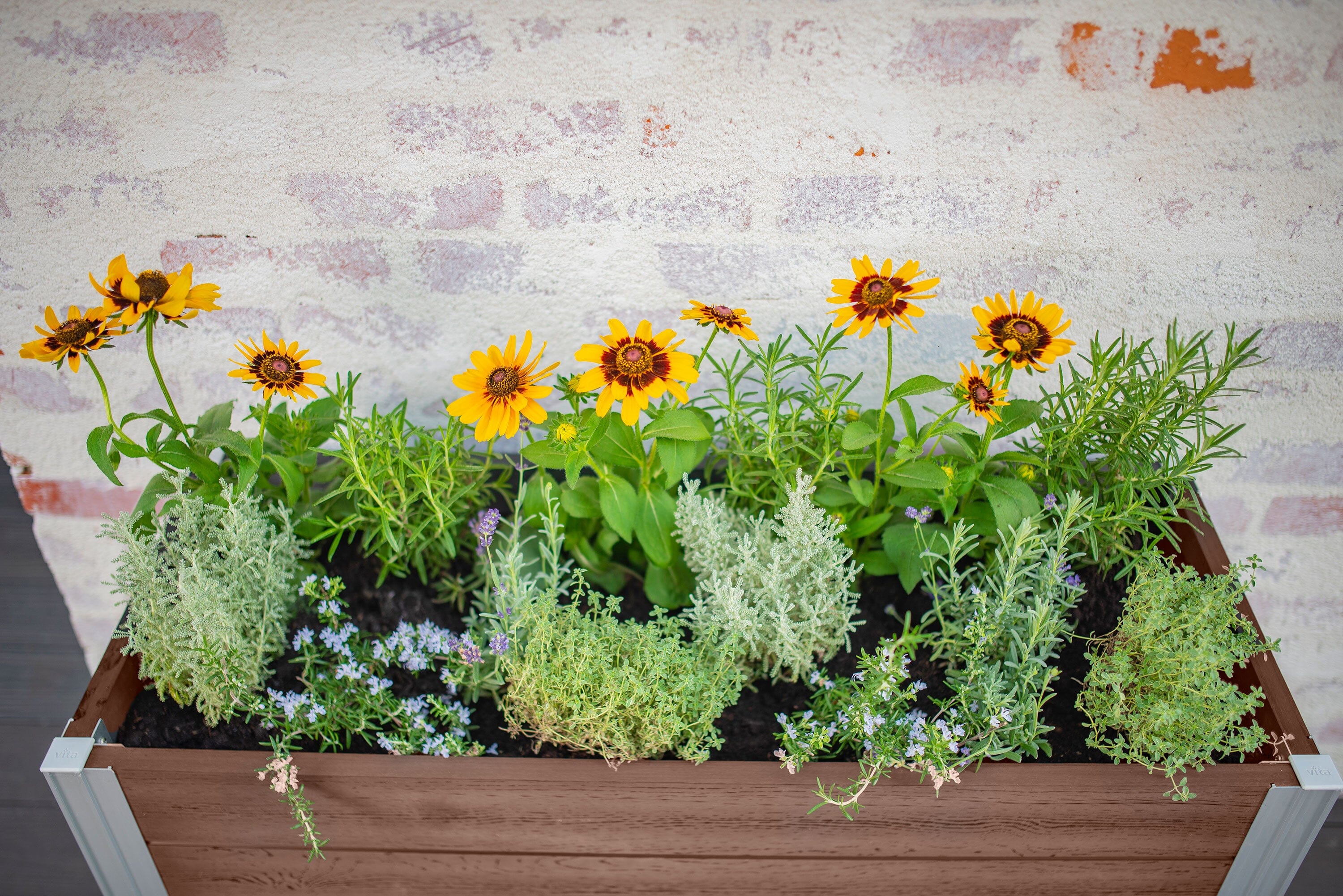URBANA Greens Elevated Garden - Image 20