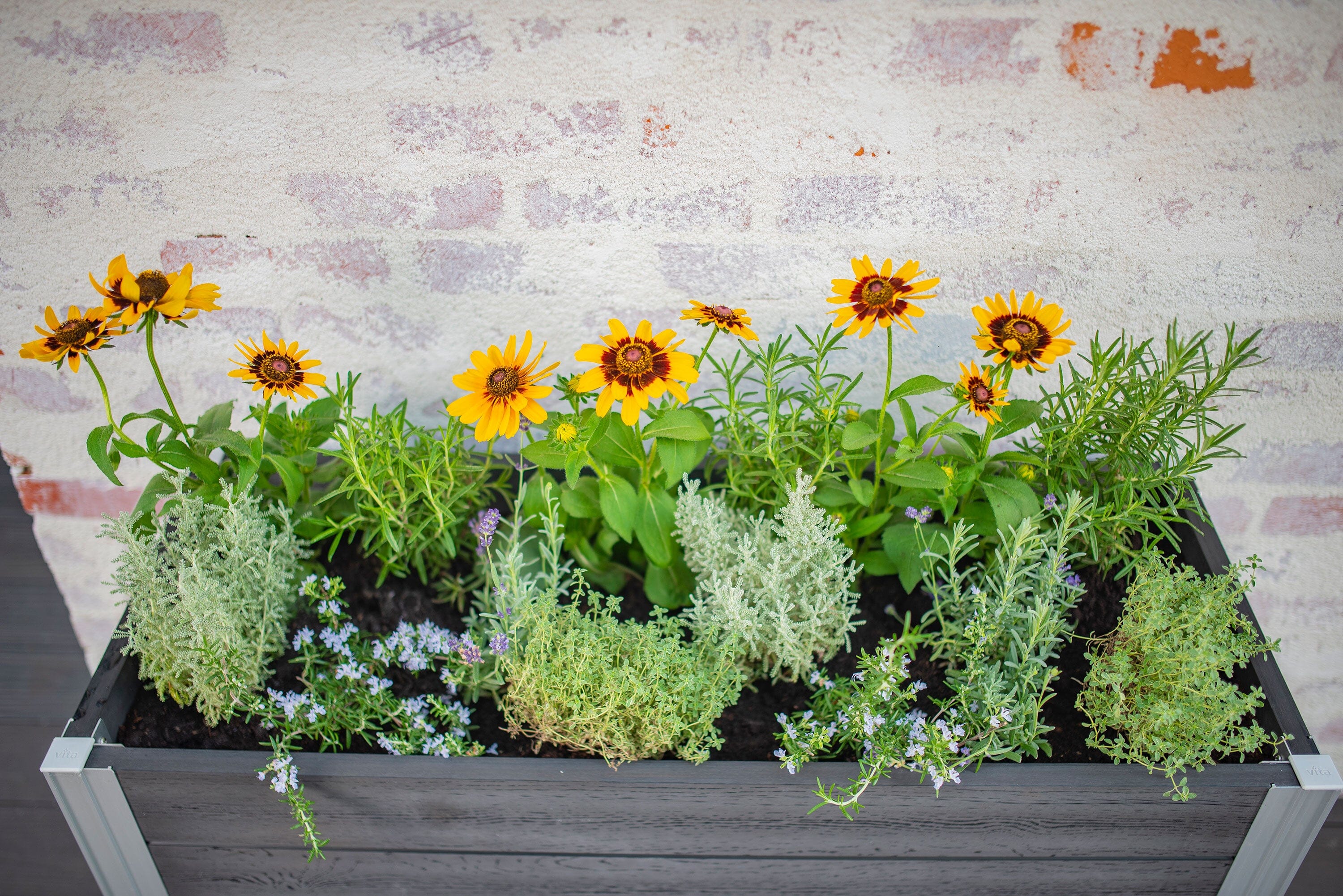 URBANA Greens Elevated Garden - Image 8